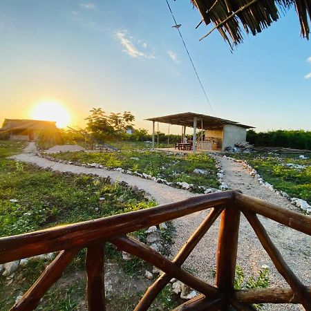 Habibis Bottle House Bed & Breakfast Нунгви Екстериор снимка