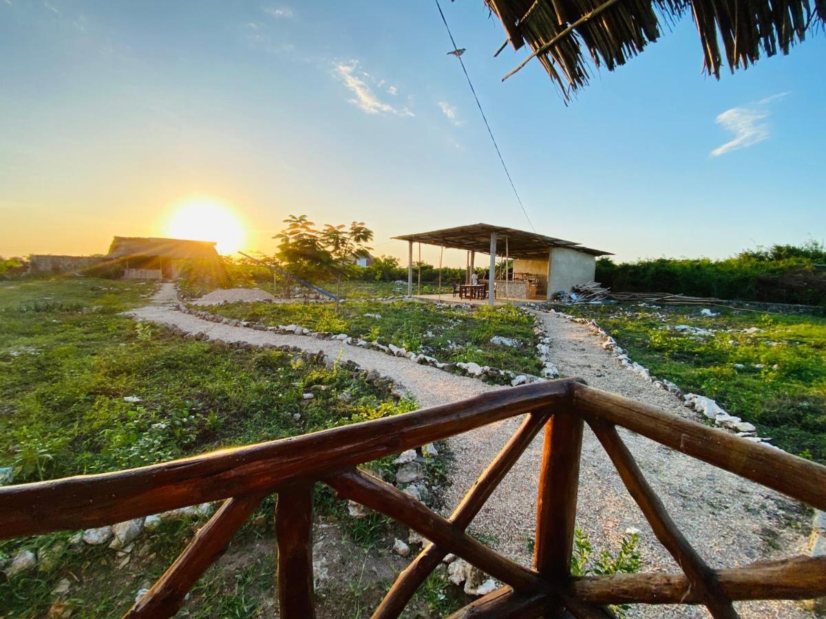 Habibis Bottle House Bed & Breakfast Нунгви Екстериор снимка